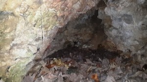 Jaskinia w Rzeplinie
